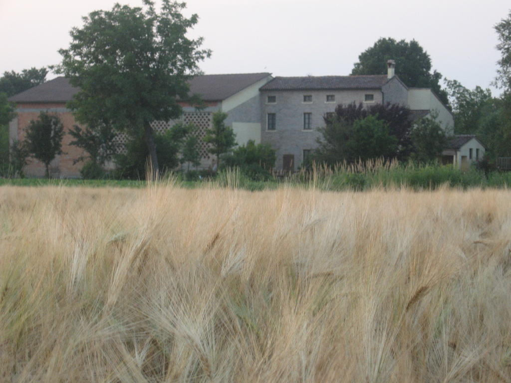 Agriturismo La Rovere Villa Cesole Exterior photo